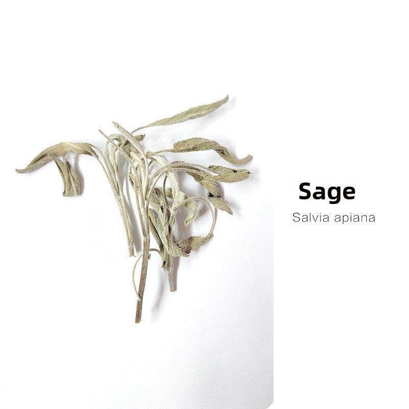 逸仙禅乐香线香鼠尾草乳香檀香净化中国香薰木香香抚慰情绪,淘宝优惠券,粉丝福利购,淘宝优惠卷