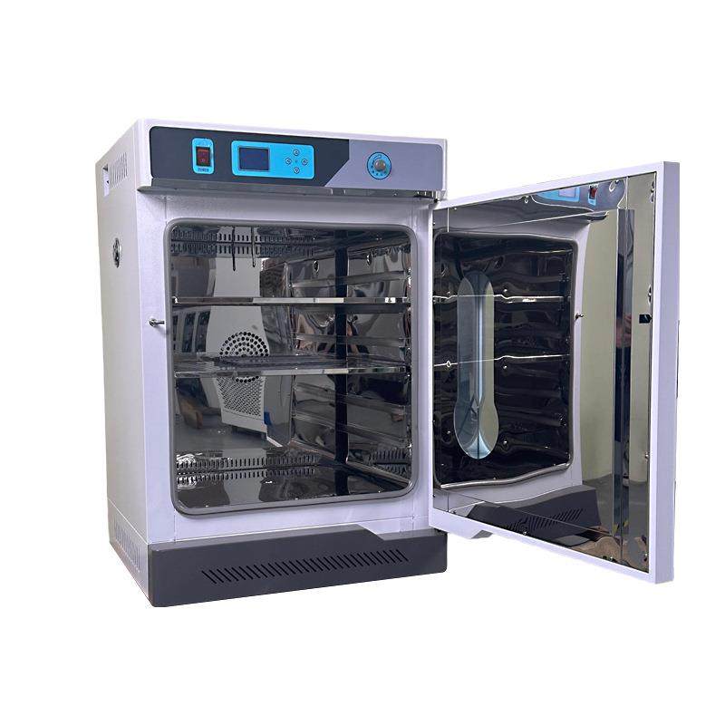 立式双开门工业电热鼓风干燥箱大容量高温热处理实验室用烘干设备,淘宝优惠券,粉丝福利购,淘宝优惠卷