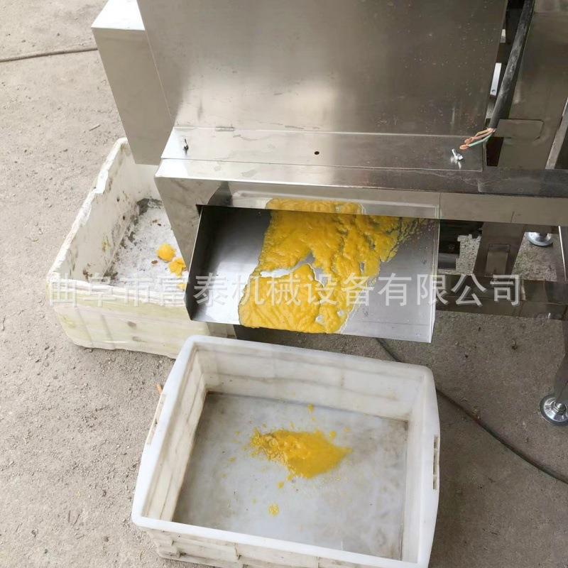 去皮核桃打浆机苹果双道打浆机水果去核打浆机柚子桃子打浆机 - 图2