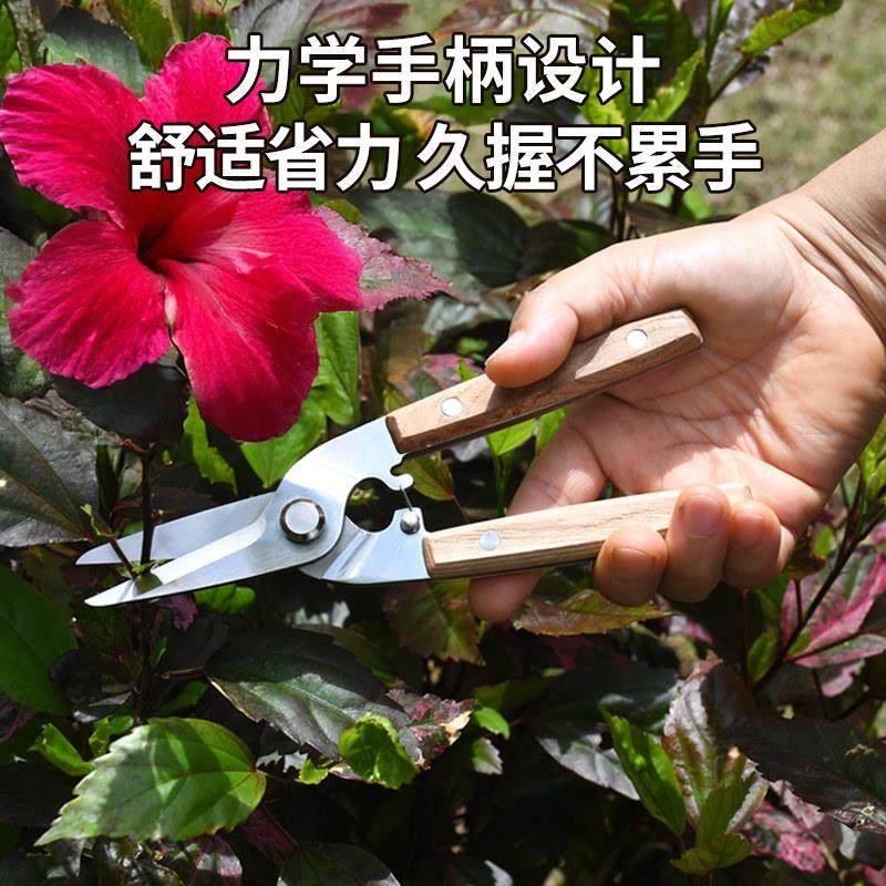 不锈钢家用果树修枝剪园艺剪花枝花艺剪花奔强力户外强力摘果剪刀,淘宝优惠券,粉丝福利购,淘宝优惠卷