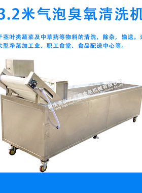 蔬气泡清洗机苦菊球生菜洗菜机鼓泡沙拉菜清洗机大型洗菜机