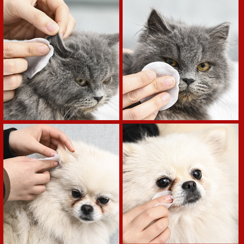 宠物专用湿纸巾猫咪狗狗眼部清y洁湿巾耳部湿巾泪痕耳部去除耳垢 - 图3