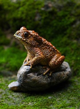 彷真蟾蜍摆件花园盆景假山造景树脂招财金蟾工艺礼品摆饰桌面装饰