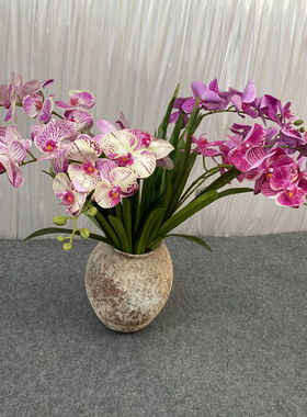 胶片惠兰叶仿真花盆景厂家 仿真花兰花手感叶子蕙兰叶子插花配叶