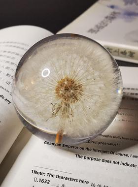 蒲公英和雏菊标本不朽花树脂水晶球入口装饰创意家庭圣诞礼物