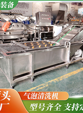 根茎类去泥清洗设备预制菜气泡清洗机流水线连续式蔬菜洗菜机