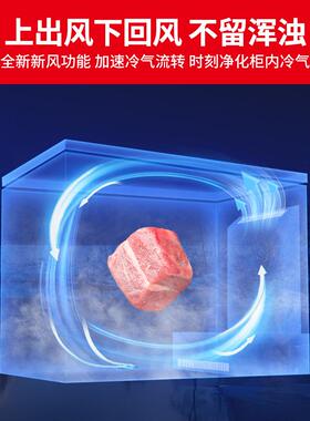 星星超低温深冷柜商用冰柜风冷无霜冷藏冷冻生鲜柜电子温控保鲜柜