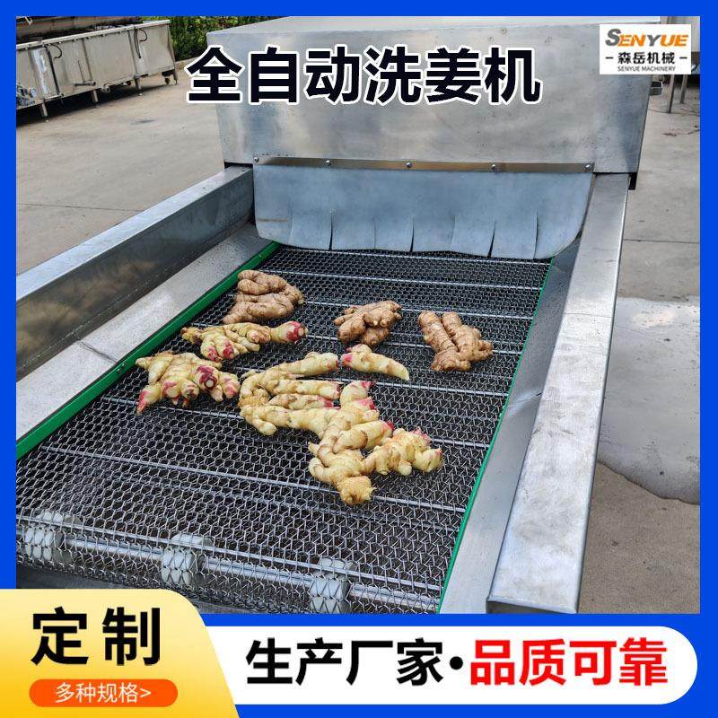 商用全自动小香葱清洗机芹菜高压喷淋洗菜机韭菜大姜清洗机去泥沙,淘宝优惠券,粉丝福利购,淘宝优惠卷