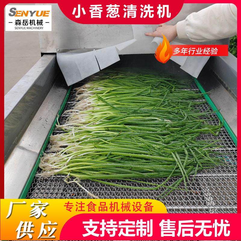 商用全自动小香葱清洗机芹菜高压喷淋洗菜机韭菜大姜清洗机去泥沙,淘宝优惠券,粉丝福利购,淘宝优惠卷