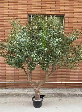 高档复古北欧仿真绿色植物盆栽橄榄树落地大型植物家居办公装饰摆