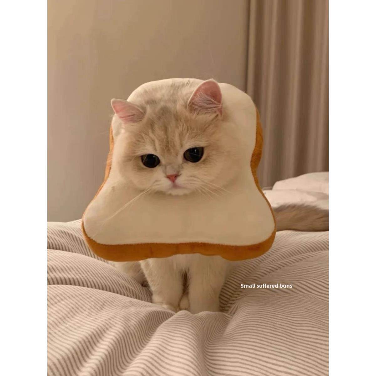 猫颈巾，伊莉莎白领，防舔隔离套，羞耻感套，术后保护小猫颈枕,淘宝优惠券,粉丝福利购,淘宝优惠卷