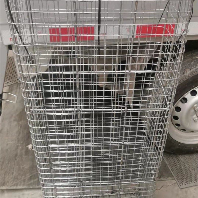 水泵罩子特殊规格定做不锈钢电焊网污水泵防护罩水泵笼潜水泵笼,淘宝优惠券,粉丝福利购,淘宝优惠卷