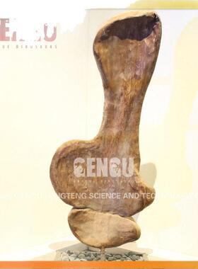 恐龙骨架 FEF恐仿化恐龙化真石 恐龙骨架模型 石复制品 龙化石模