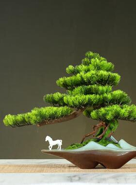 假松木图加绿色植物装饰模拟室内盆栽彷生绿化迎宾松木盆景