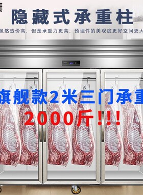 君班挂肉柜商用冷冻冷藏保鲜冰柜挂冰H鲜肉柜吊肉柜立式牛肉排现