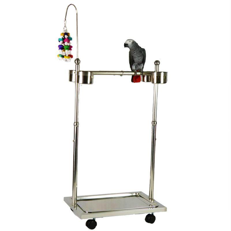 鹦鹉鸟类宠物鸟站架不锈钢折衷观赏架梯子架栖息架中大型饲养架子,淘宝优惠券,粉丝福利购,淘宝优惠卷