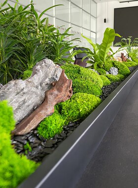 会议桌中间微景观摆件长桌苔藓绿植造景桌面装饰假花摆设/美空203