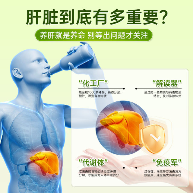 ບຳລຸງຕັບ, ບຳລຸງຕັບ, ບຳລຸງຕັບ ແລະ ໝາກໄຂ່ຫຼັງໃຫ້ແຂງແຮງ, ໂສມ, dendrobium, wolfberry ແລະແກ່ນ cassia