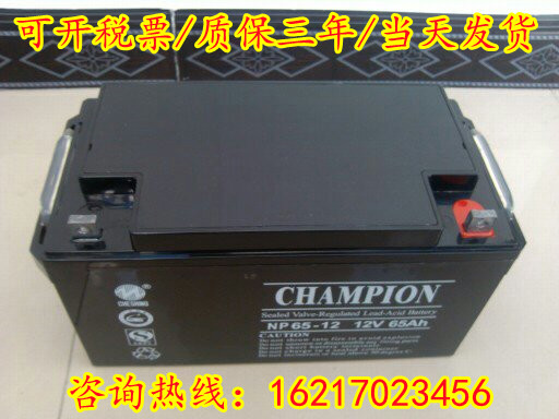 CHAMPION志成冠军UPS蓄电池NP100-12/12v7a17a24a38a65a100a120ah - 图3