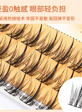 自然太阳花懒人三部曲鱼尾仙子分段漫画浓密嫁接单簇假睫毛大容量