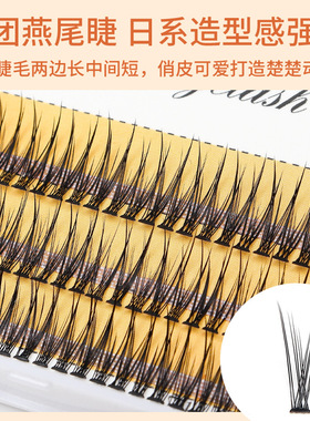 120簇 燕子尾睫毛自然款女仿真单簇新手初学者自粘嫁接鱼尾假睫毛
