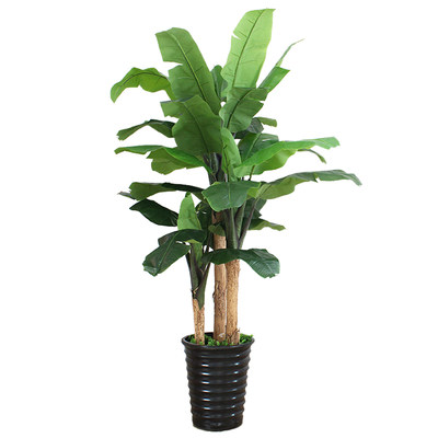 芭蕉树仿真植物室内装饰大型假树落地盆栽客厅摆件绿植造景仿真树 虎窝淘
