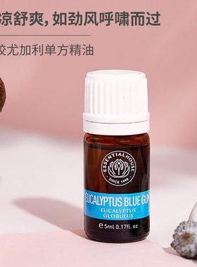 天然扩香木蒲公英精油配饰多用途