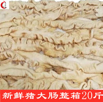 Fresh pig large intestine fattening intestine clean and free of fresh and fresh large intestine whole box 20 catty of commercial noodle restaurant Hotel Ingredients