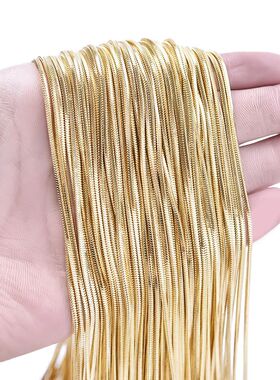 45/50/60/70cm Snake Long Chain Necklace Stainless Steel