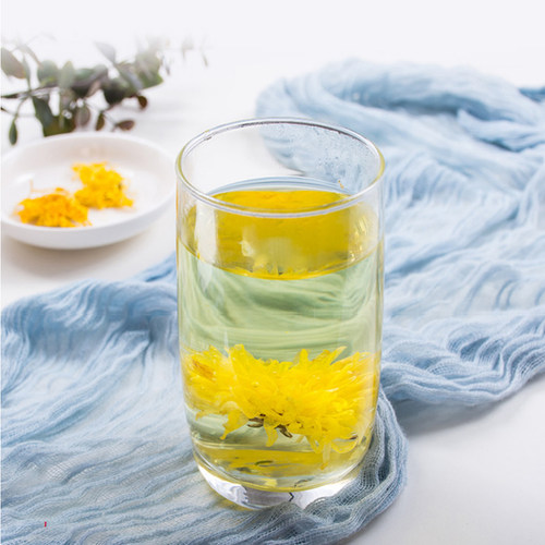 开封特产大梁黄菊金丝皇菊菊花茶独立包装大朵菊花一杯一朵50朵装 - 图0