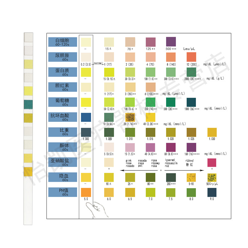 艾科尿常规11项检测尿隐血尿糖尿蛋白试纸酮体尿液分析条慢性肾炎 - 图1