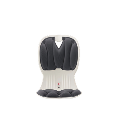 BKT人体工学椅子护腰靠垫坐垫办公腰托垫电脑靠背一体