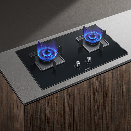 SIEMENS/西门子一级能效5.0kW大火力易拆洗燃气灶JZT-ERJA8A3BMP - 图1