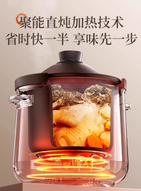 苏泊尔全自动紫砂锅电炖锅