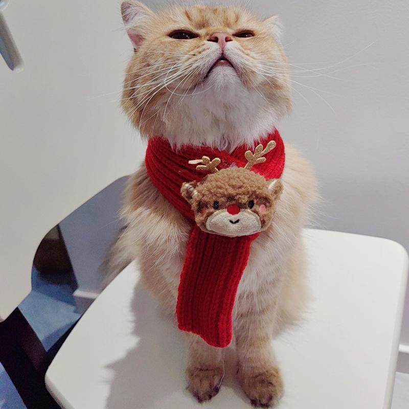 猫咪过年围脖新年宠物布偶猫咪冬季围兜小狗围巾装扮口水巾装饰品,淘宝优惠券,粉丝福利购,淘宝优惠卷