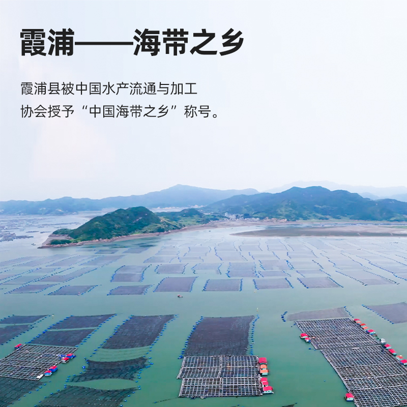 有机海带苗嫩芽海带丝鲜嫩无沙压缩结干货非盐渍霞浦特产火锅凉拌 - 图0