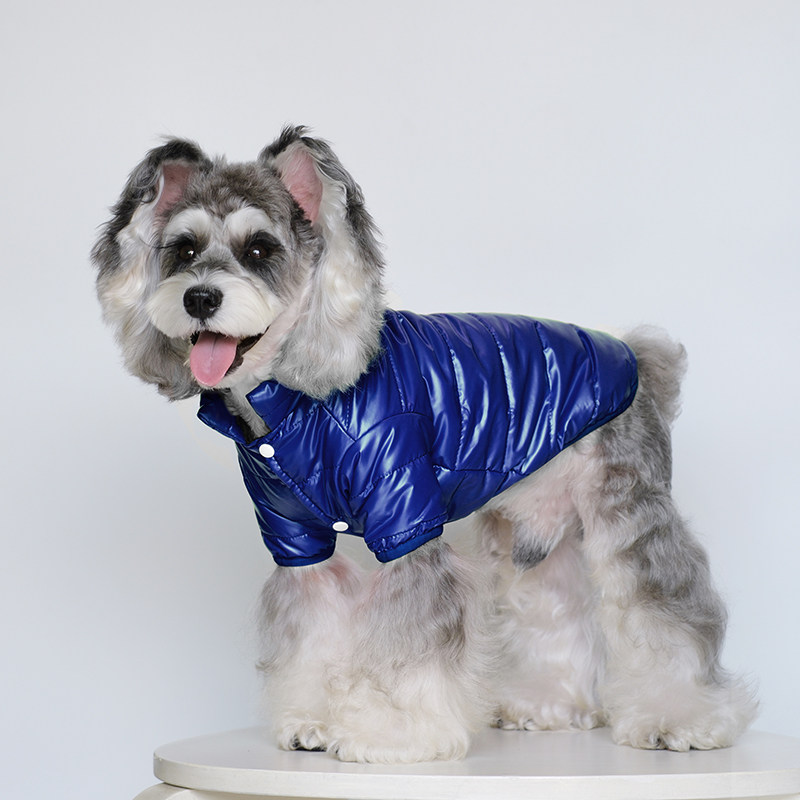 秋季狗狗衣服泰迪棉服猫咪秋冬款保暖小型犬宠物博美比熊宠物服饰,淘宝优惠券,粉丝福利购,淘宝优惠卷