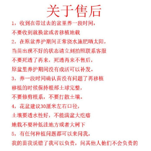 无花果苗盆栽果树苗波姬红巴劳耐格莱斯紫色波尔多BNR丰产黄斯特 - 图1