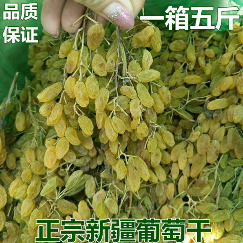 新疆特级超大散装5斤免洗葡萄干 良山谷珍葡萄干