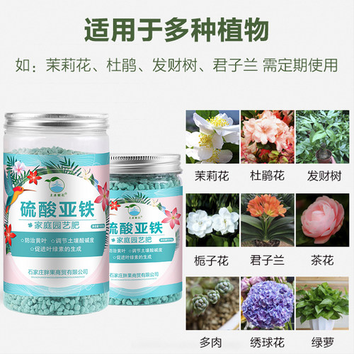 硫酸亚铁花肥料花卉花用酸性茉莉栀子杜鹃茶花改善土壤黄叶专用肥 - 图2