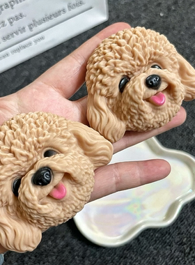 原创立体泰迪狗可爱鞋扣