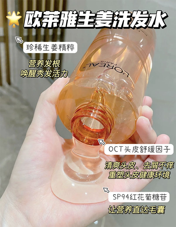 小样生姜洗发水露润发乳 欧莱雅控油蓬松强韧丰盈防脱护发素套装 - 图1