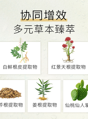 6片暗沉肌肤焕白修护面膜