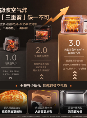 美的小滋味微烤炸炖一体F23G4