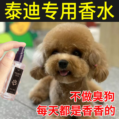 泰迪专用香水狗狗除体臭除味剂除尿骚味腥臭味持久留香宠物除臭剂 - 图3