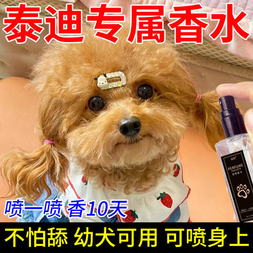 泰迪专用香水狗狗除体臭除味剂除尿骚味腥臭味持久留香宠物除臭剂 - 图0