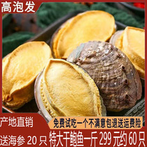 Send sea cucumbers abalone 500g dry goods Dalian non-special class gold saucer soup Buddha jumping wall 60 heads a catty box dress