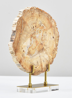 新中式树化石屏风桌面摆件板房玄关摆设酒店禅意侘寂风格软装饰品