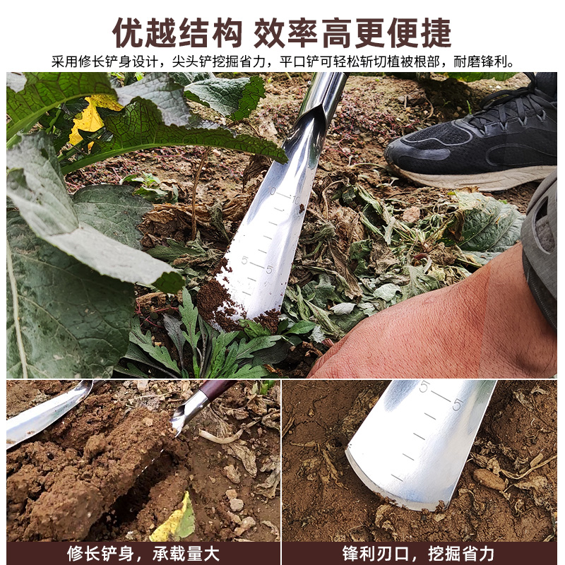 小铲子挖硬土松土种花神器铁铲家用种菜赶海园艺工具养花盆栽铁锹-图3