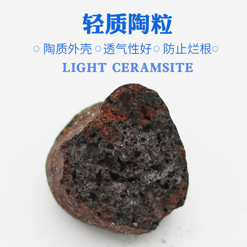陶粒养花园艺陶土粒球花卉基质陶粒保水保肥铺底铺面轻质陶粒透气 - 图0